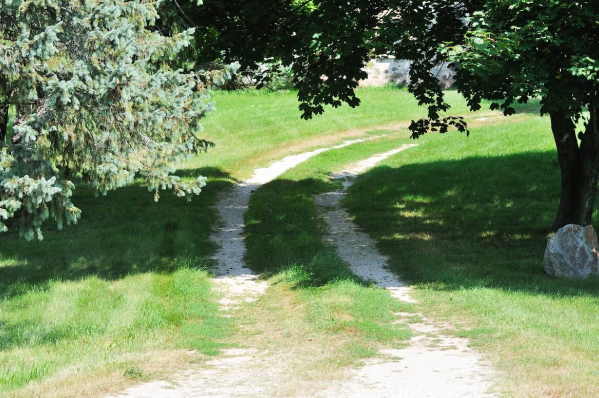 How To Fix A Gravel Driveway Overgrown With Grass & Weeds All About